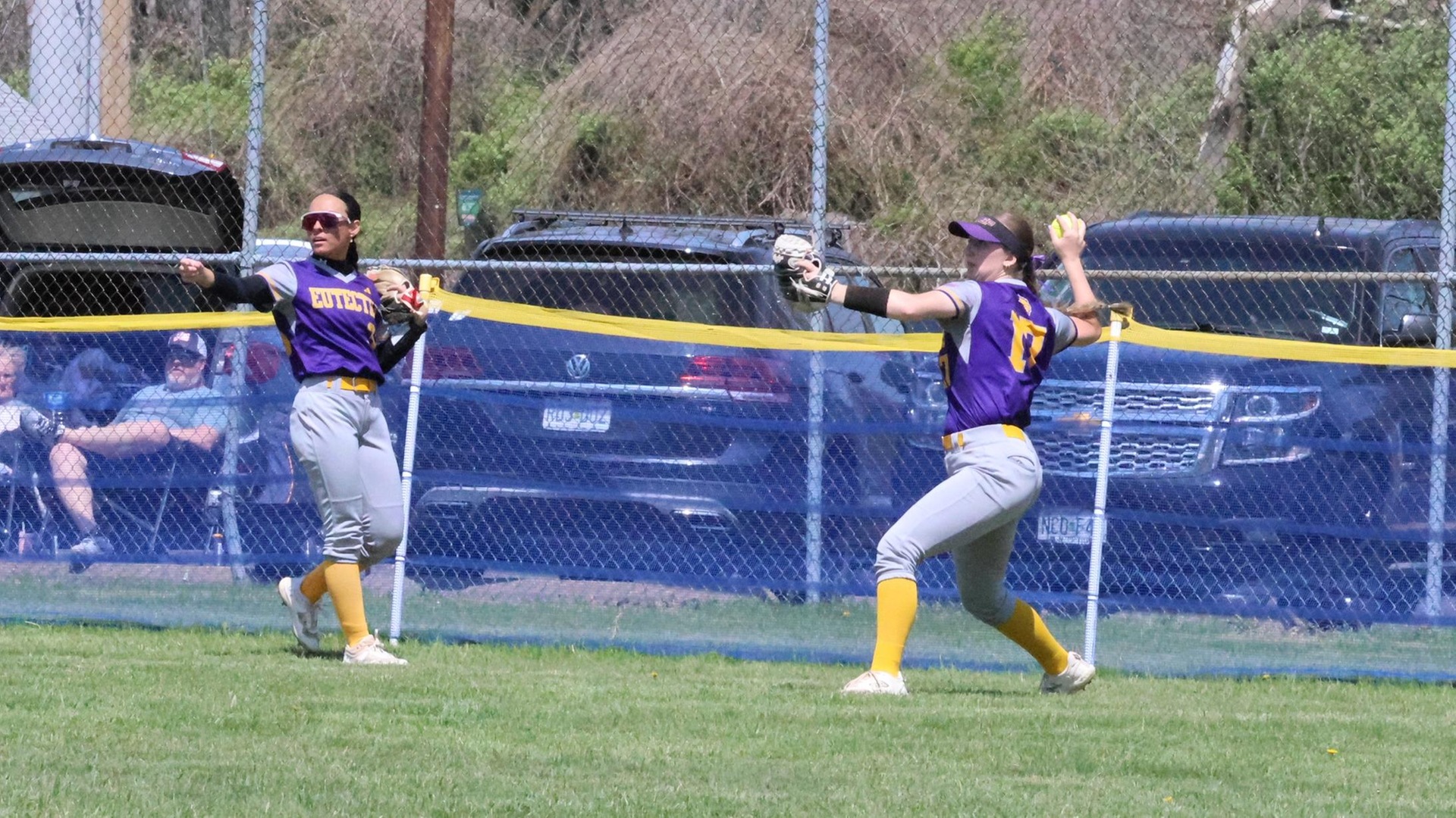 Owls Take Two from Eutectics